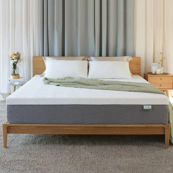 Can Air Mattresses Have Bed Bugs? 