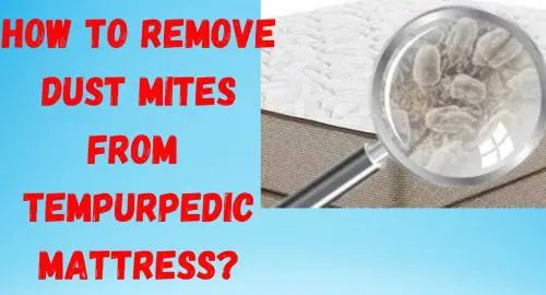 How To Remove Dust Mites From Tempurpedic Mattress?