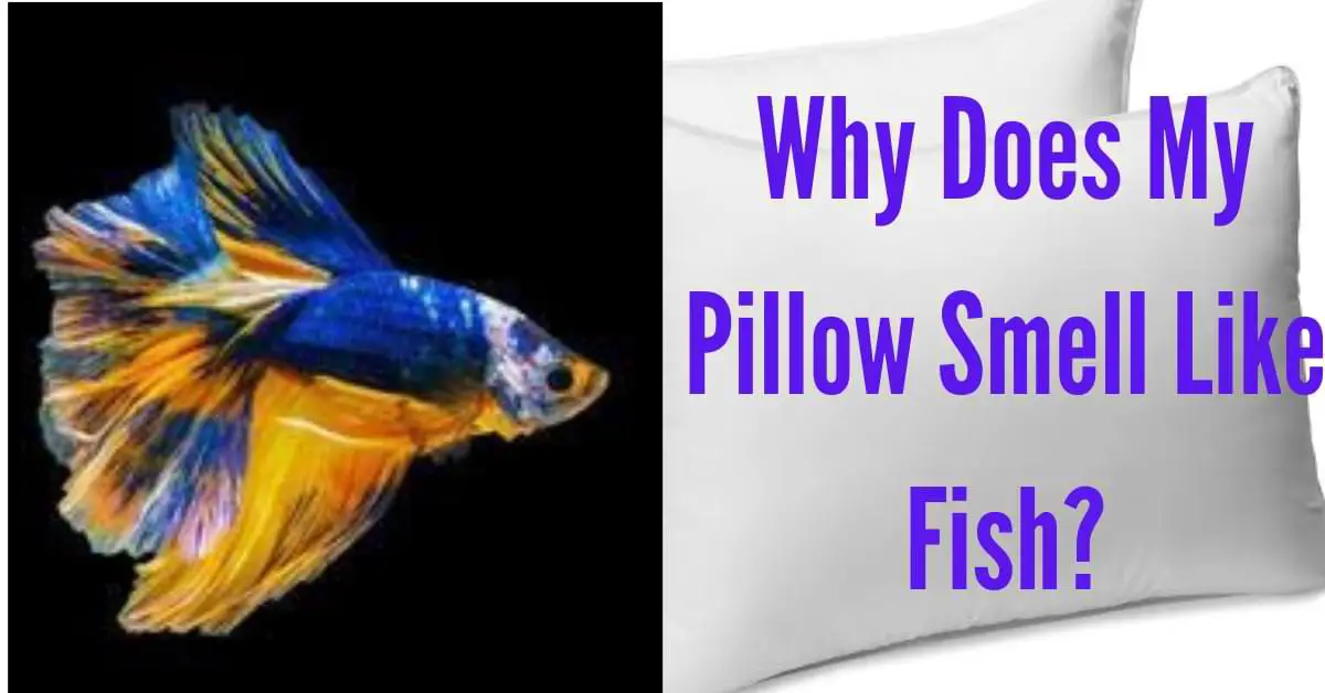 Why Does My Pillow Smell Like Fish?