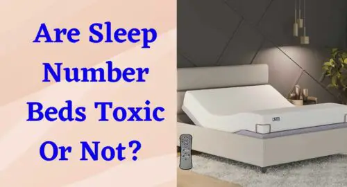 Are Sleep Number Beds Toxic Or Not?