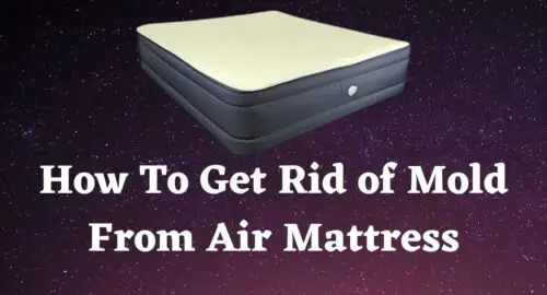 How To Get Rid of Mold From Air Mattress