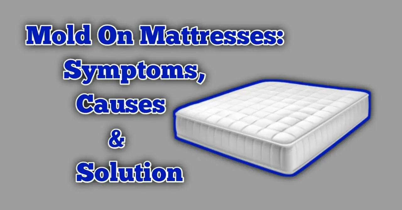 Mold On Mattresses: Symptoms, Causes & Solution